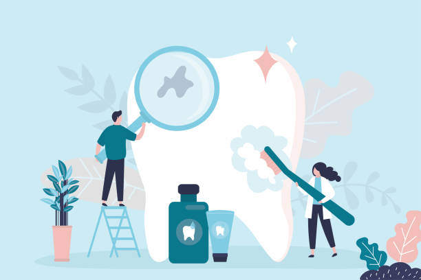 Best Preventive Dentistry  in Firthcliffe, NY